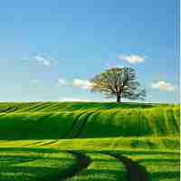 c语‌言‌编​译​器‌app有​哪‍些​